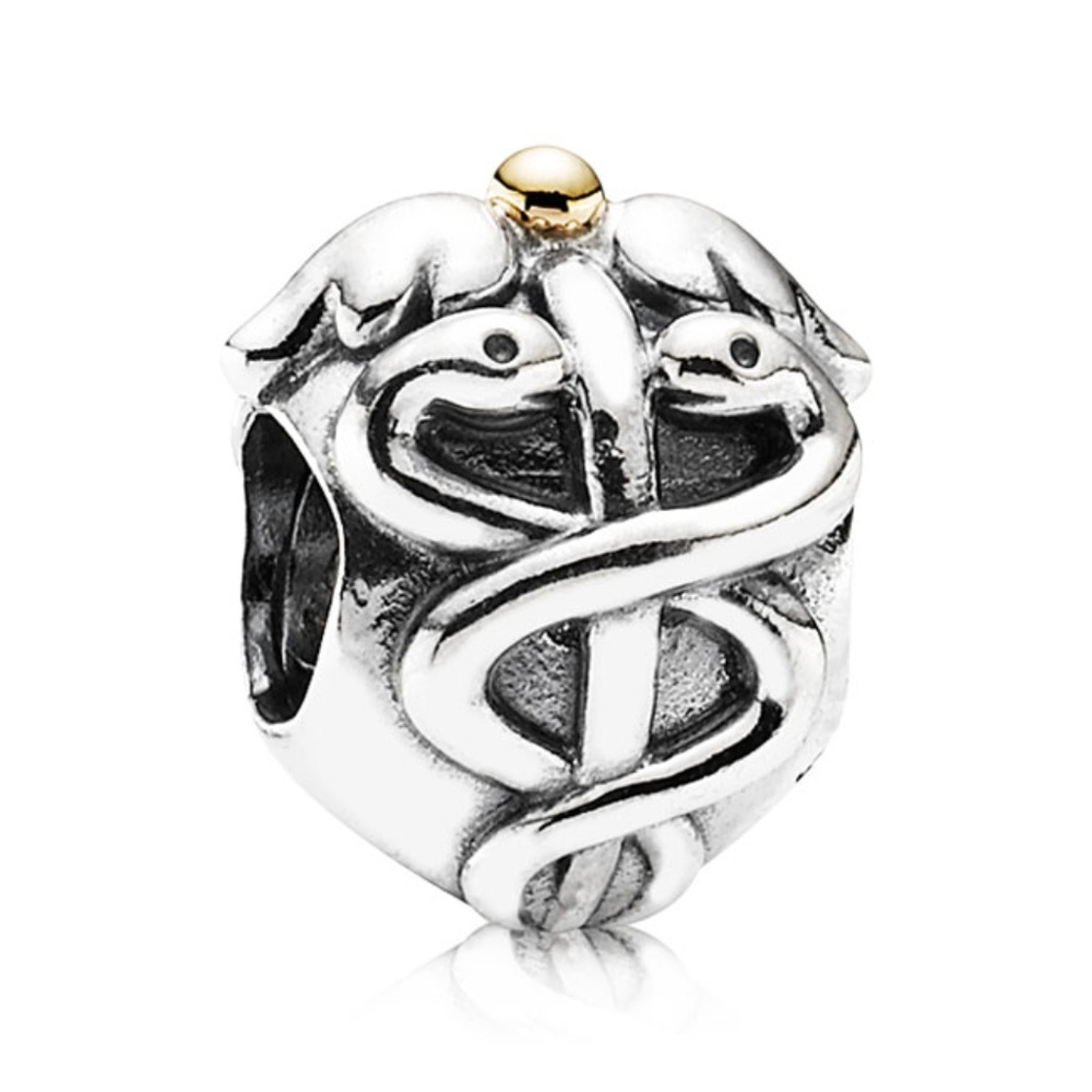 Pandora Life Saver Charm